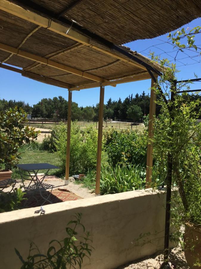 Le Jardin Du Castillon Paradou Bagian luar foto