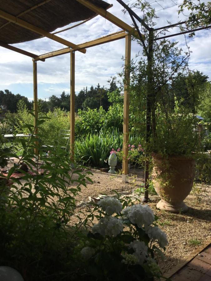 Le Jardin Du Castillon Paradou Bagian luar foto